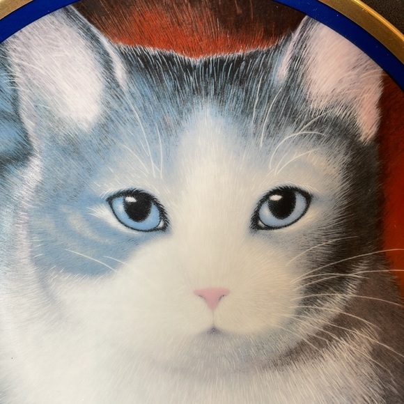 Pretty 8” Gray Cat Display Plate with Gold and Blue Rim - Picture 2 of 6